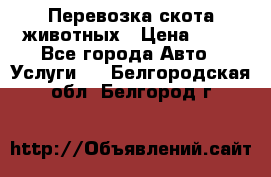 Перевозка скота животных › Цена ­ 39 - Все города Авто » Услуги   . Белгородская обл.,Белгород г.